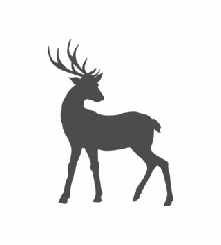 Forest - Lesný motív /  Nálepka na stenu Deer - jeleň Z074 - pastelové 