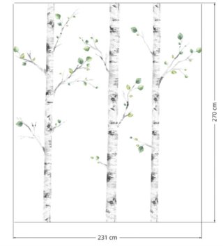 Forest - Lesný motív /  Nálepka na stenu Forest - brezy 3 ks DK325 