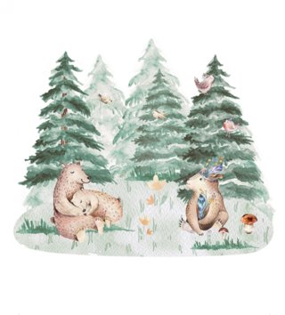 Forest - Lesný motív /  Nálepka na stenu Forest - medvede DK308 