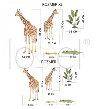 Safari /  Nálepka na stenu Safari - žirafy DK429 